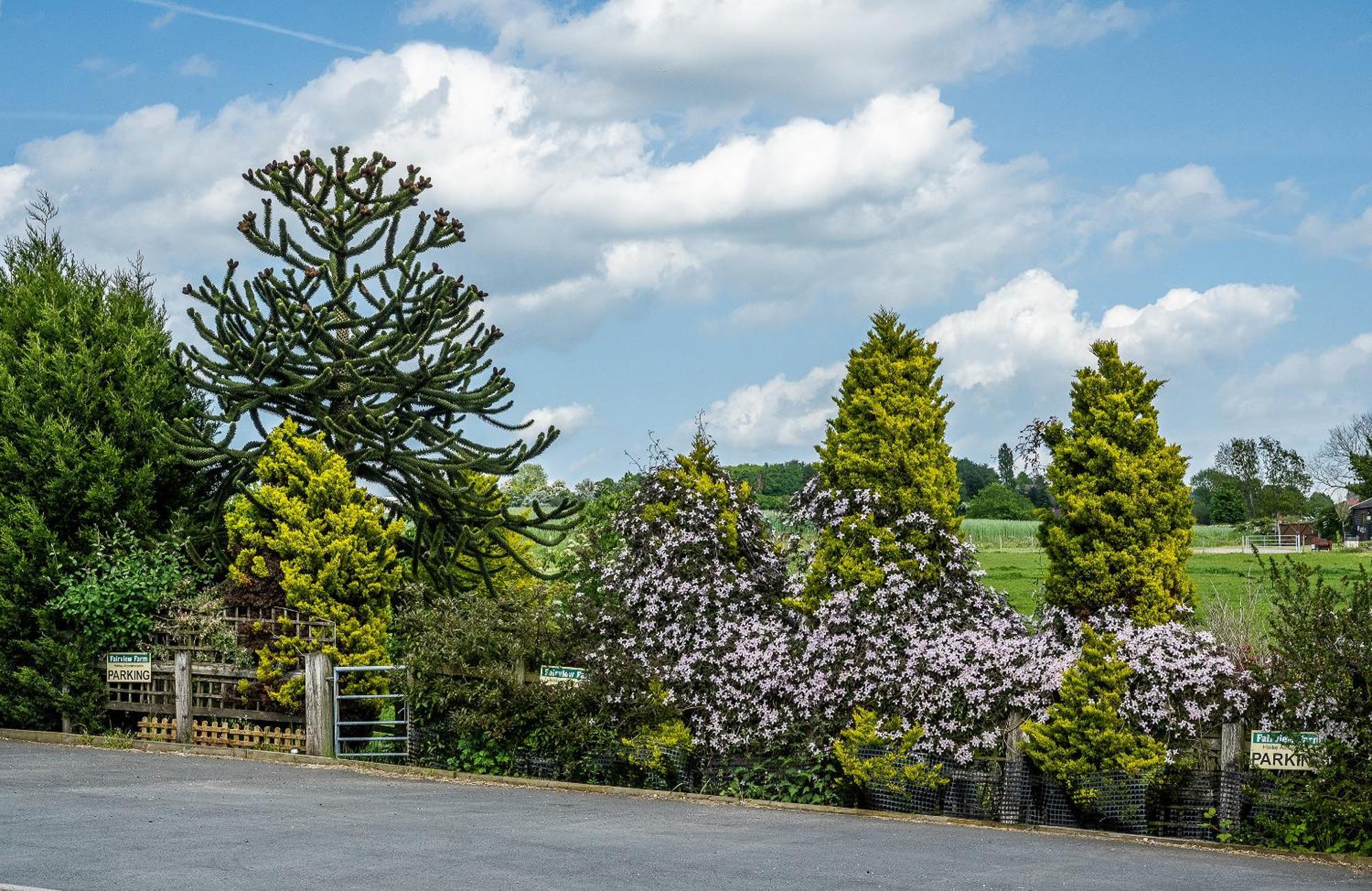 Upside Down House - Sleeps Up To 6 Guests - Great For Family And Friends Gatherings,Corporate Events ,Near Sherwood Forest At Fairview Farm In Nottingham Set In 88 Acres エクステリア 写真